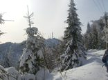 Iarna 2010